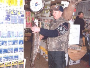 Huge Pike Feb 2009 Huge Pike Feb 2009