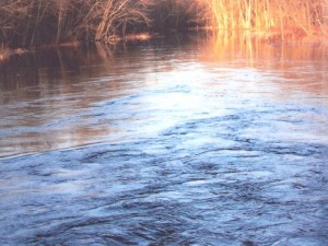 Anderson Creek April 2009