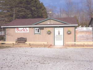 New Look Shop April 2009